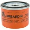 Filtre à Huile Lombardini 2 Filtre à Huile Lombardini -Motoculteur et accessoire Soldes 11014712 1