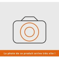 BRIGGS ET STRATTON Volant Magnétique Motoculteur Moteur Briggs & Stratton